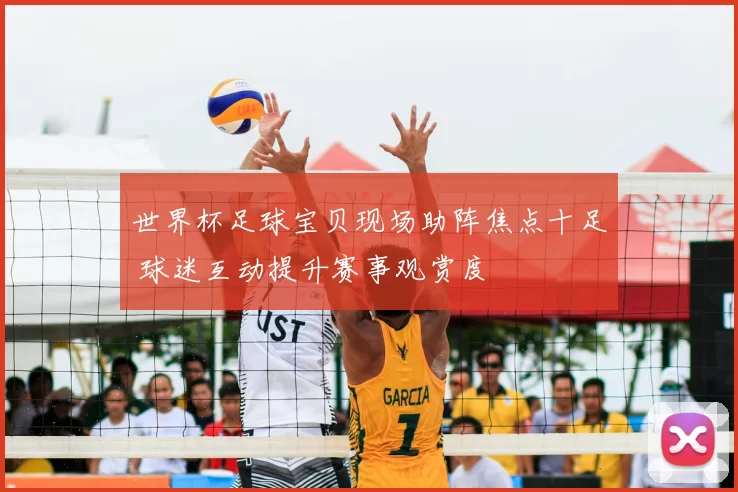 世界杯足球宝贝现场助阵焦点十足 球迷互动提升赛事观赏度