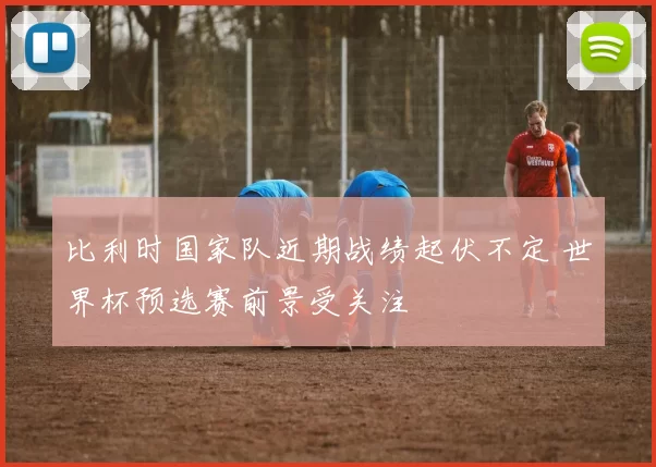 比利时国家队近期战绩起伏不定 世界杯预选赛前景受关注